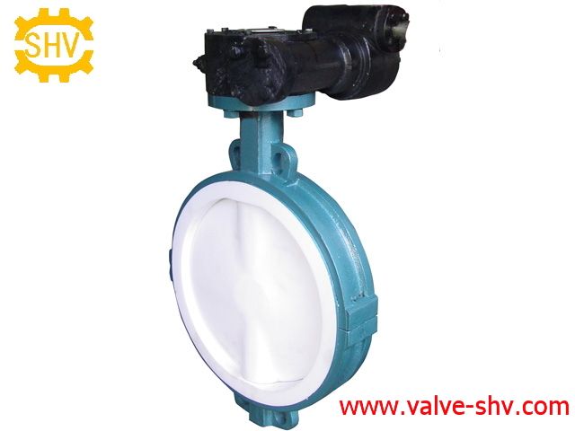 Lined Concentric Butterfly Valve