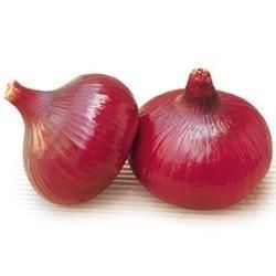 Fresh Onion