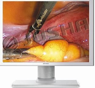 19-Inch Endoscopy and Surgical Display
