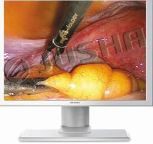 15-Inch Endoscope & Surgical Display
