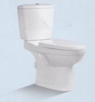 FTS-TP9016 Wash Down Two-Piece Toilet