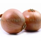 Non-Peeled Yellow Onion