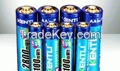 Universal lithium battery