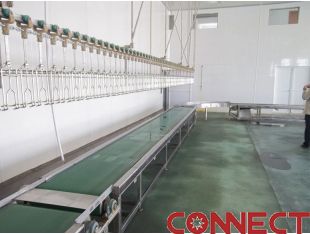 Connect Poultry Processing Equipment/ bird reception/Crates pom chain conveyor
