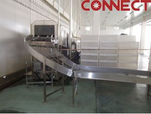 Connect Poultry Processing Equipment/ bird reception/Crates washing system