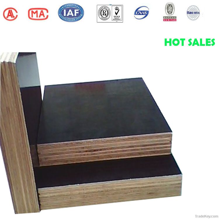 good /cheap plywood quality plywood