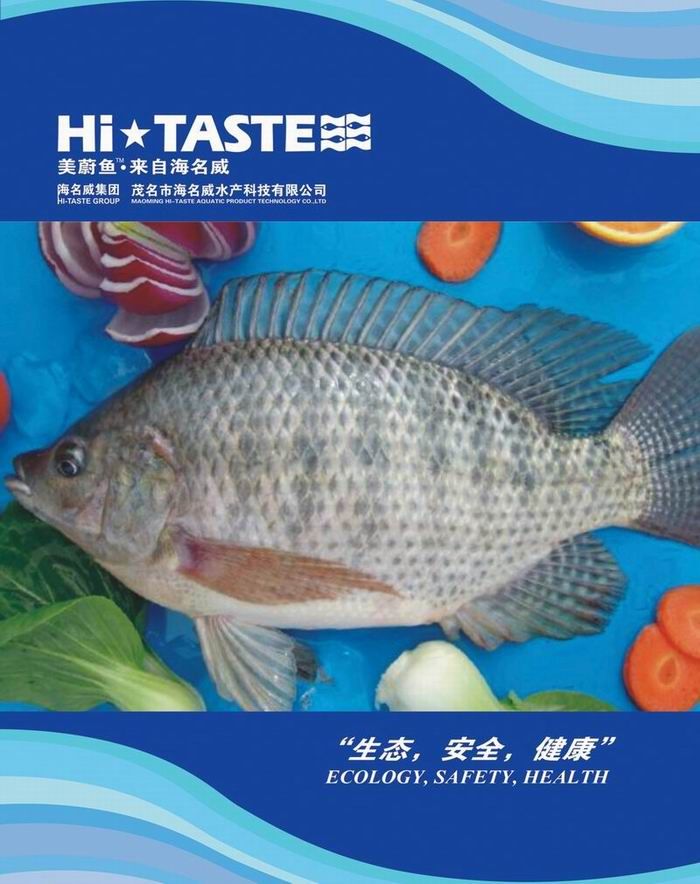 Frozen Tilapia whole round