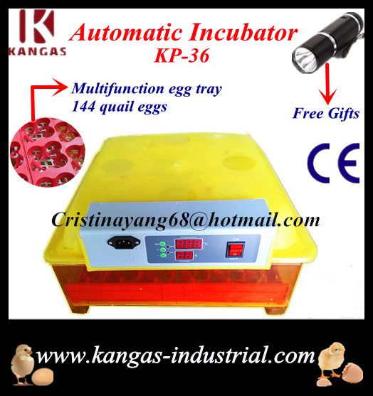 Hottest Sale Cheapest Mini Duck Egg Incubator CE Marked (KP-36)