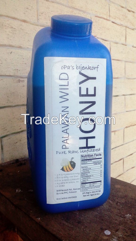 Palawan Wild Honey