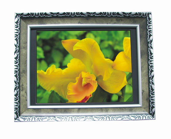 digital photo frame