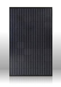 Solar Panel PLM-250MB-60 SERIES