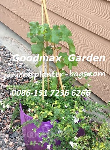 Flower Planter / 5 Gallon Bloombagz