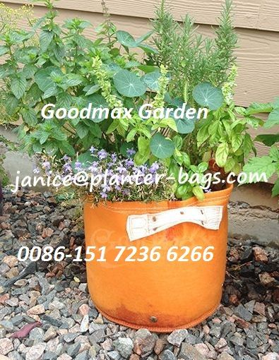 Flower planter bag / 2 Gallon Bloombagz