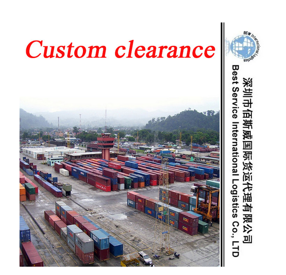 Logistics Service for Custom Declaration, Custom Clearance, Documentation