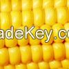 Maize