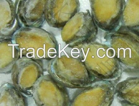 Frozen Abalone shell 