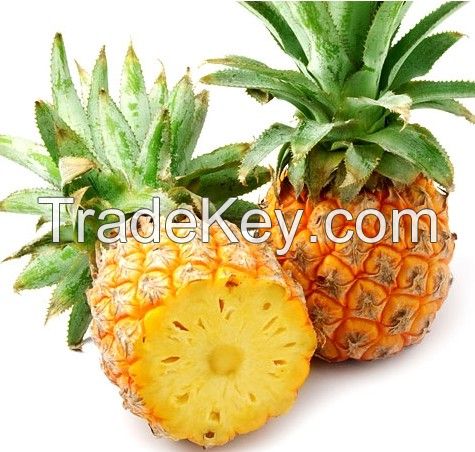 Pinapple Concentrated Juice