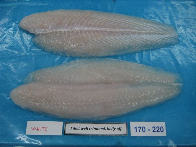 Pangasius Fillet