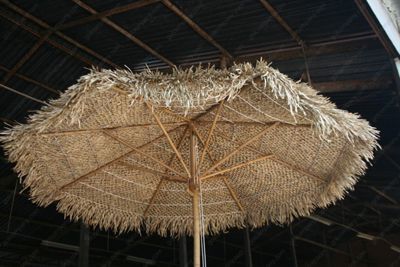 Seagrass umbrella