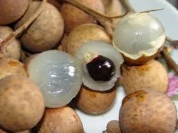 Longan