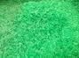 PET flakes hot washed green A quality