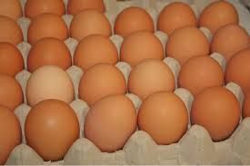 ***Available Thai quality chicken table egg