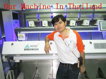 High capacity 2014 CCD color sorter machine with big channel 480