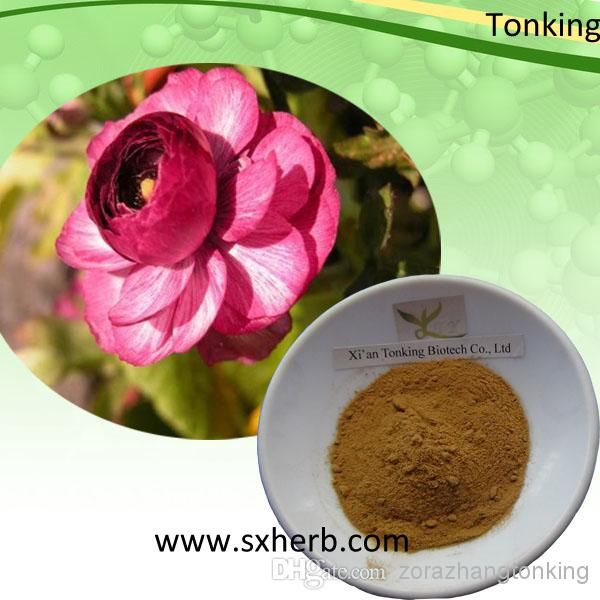 Direct Manufacturer supply GMP rhodiola rosea plant extract