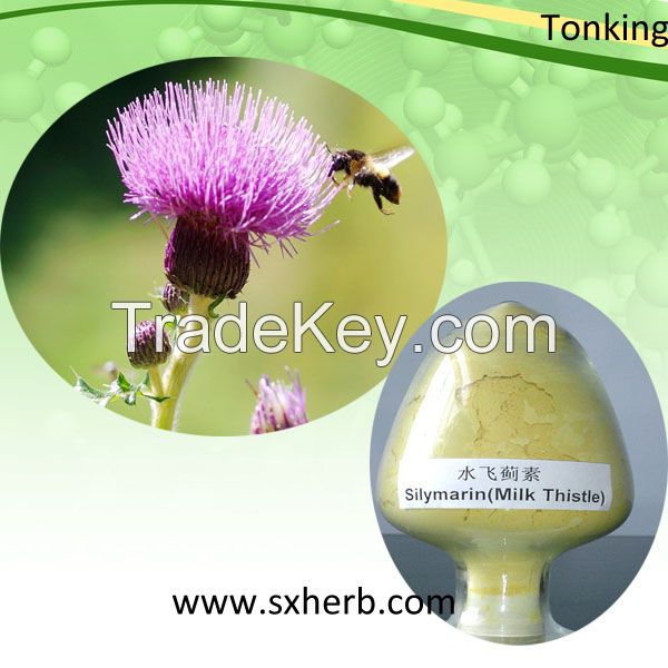 Organic Milk Thistle Extract/Silymarin Soluble in Water