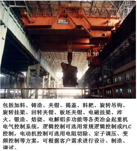 Metallurgical crane electrical control system