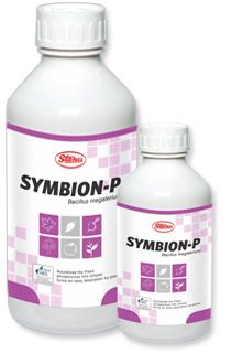 Symbion-P  (Bio Fertilizer)