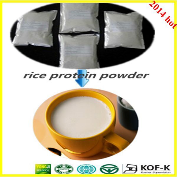 rice protein powder