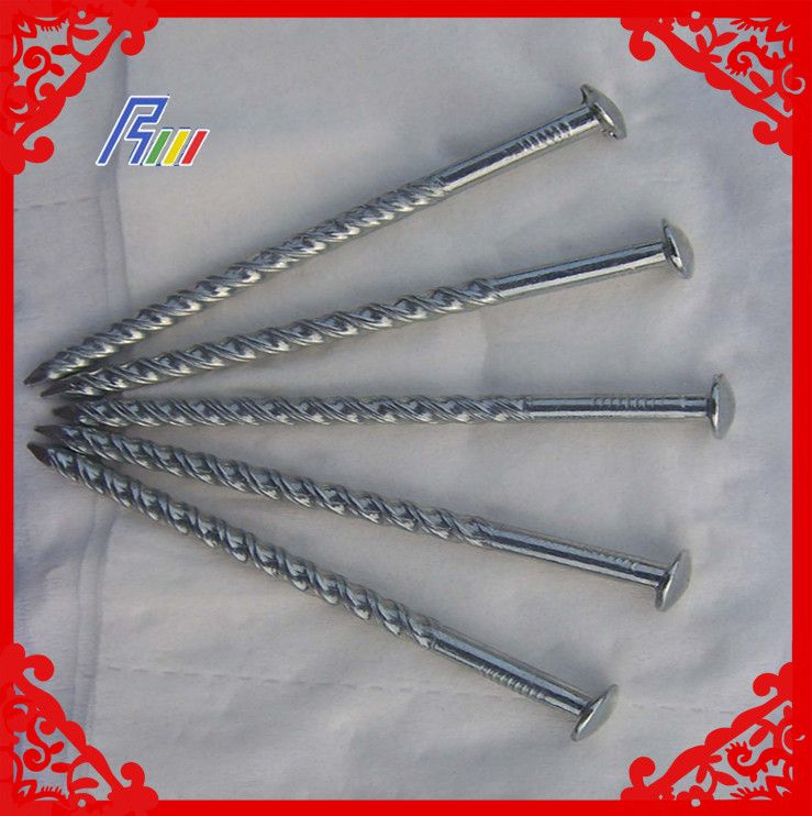 twist nail from china factory