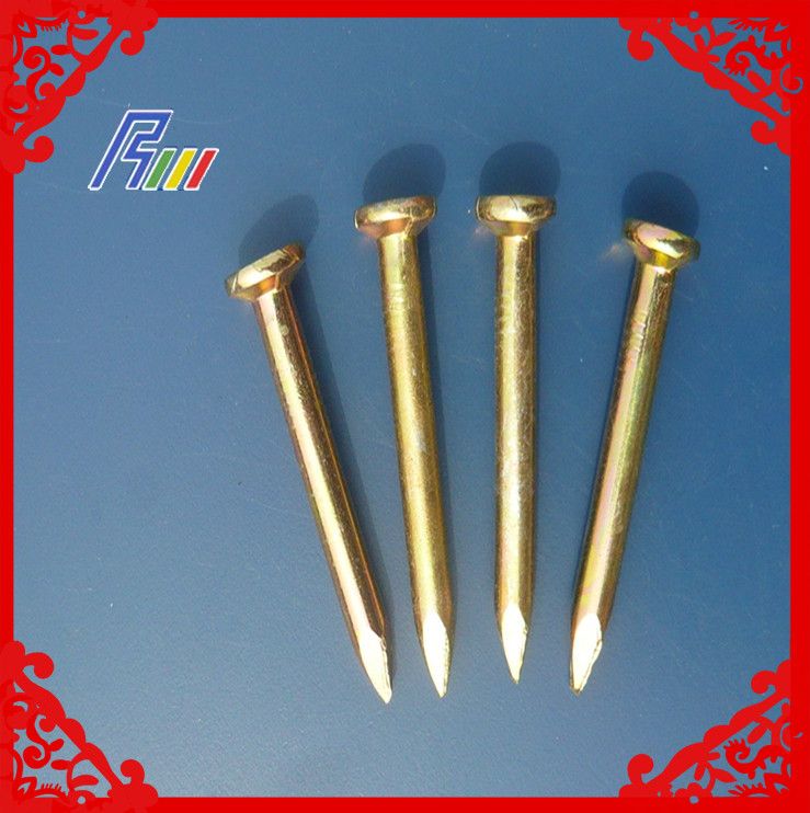 stainless steel concrete nail from china