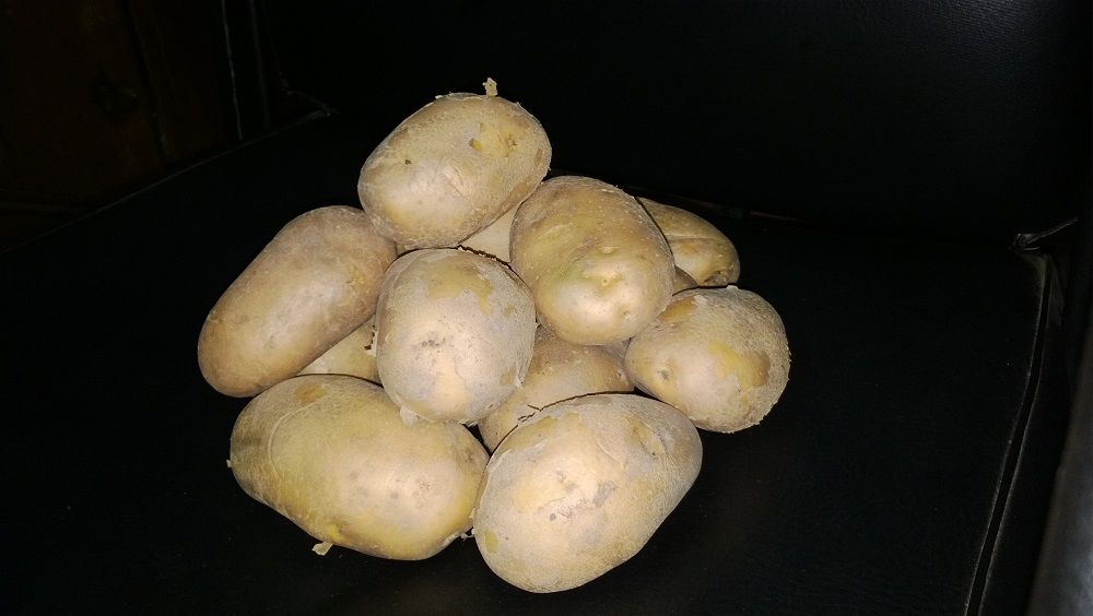 Fresh Potato