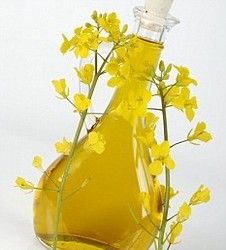 Crude Degummed Rapeseed Oil