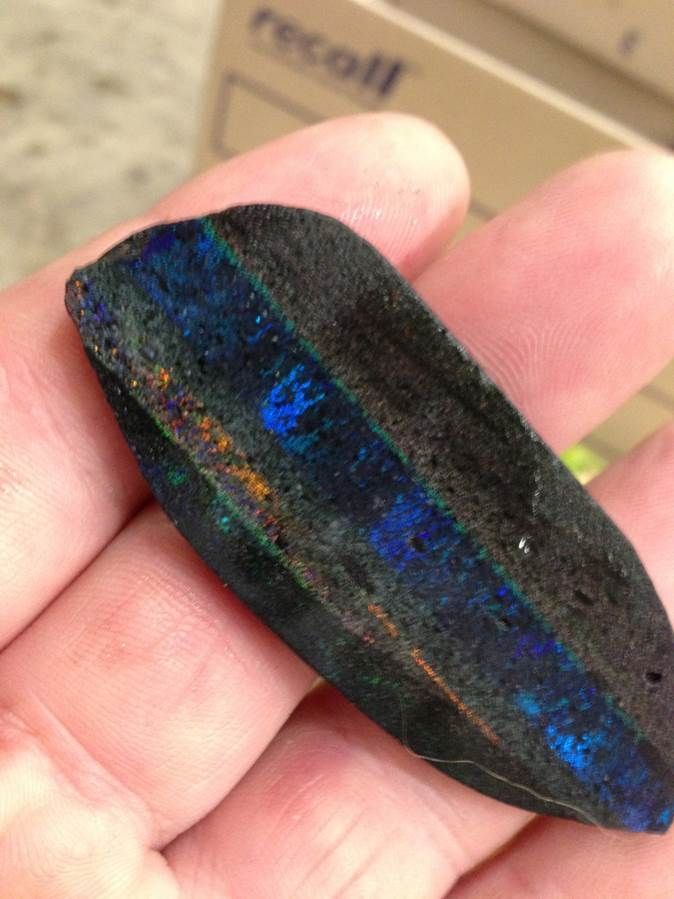 Raw Black Andamooka Austral Opals - superb quality, low prices, regular large shipments