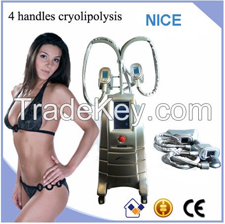 Non-Invasive Kryolipolyse Machine/Cryolipolyse 4 Handles Cryolipolyse