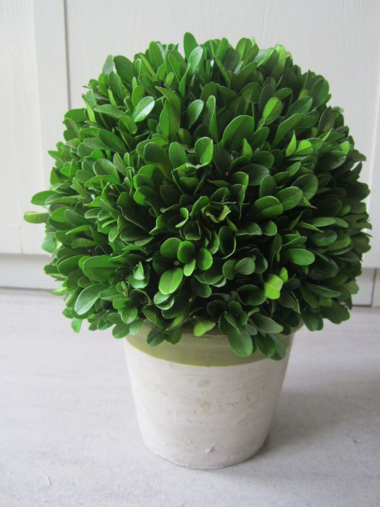 SMALL LEAVES ARTS/BOXWOOD CRAFTS