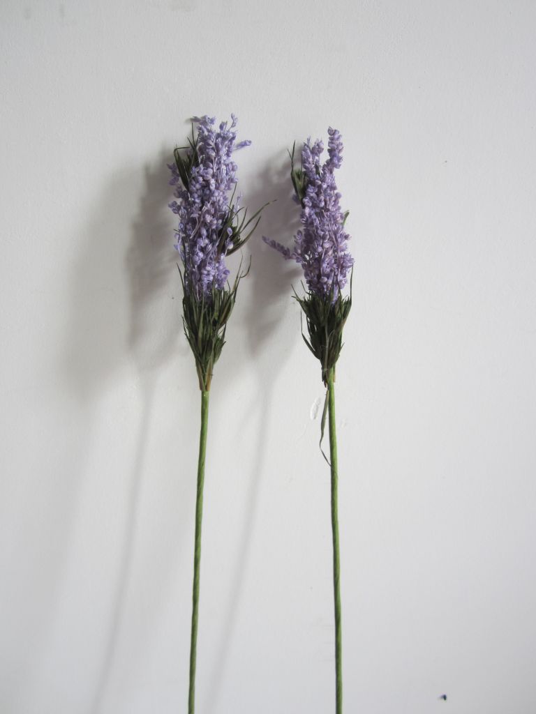 SINGLE FLOWERS/DRIED FLOWERS