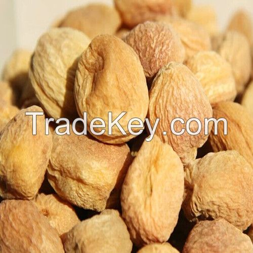 Good Taste White Apricot in High Quality for Sale