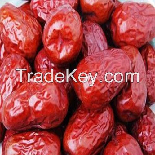 High Quality Delicious Chinese Red Dates with Good Price