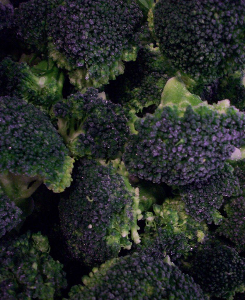 IQF Frozen Broccoli Florets