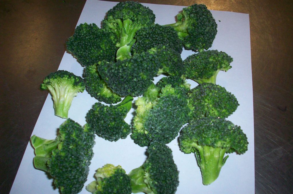 IQF Frozen Broccoli Florets