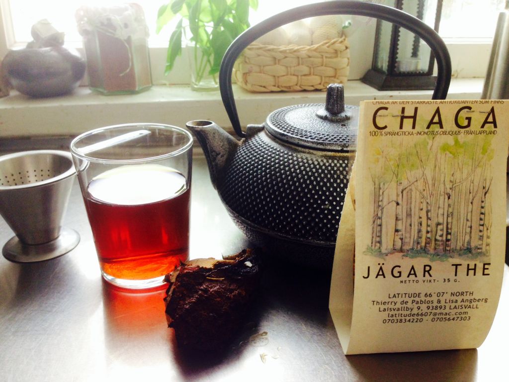 chaga