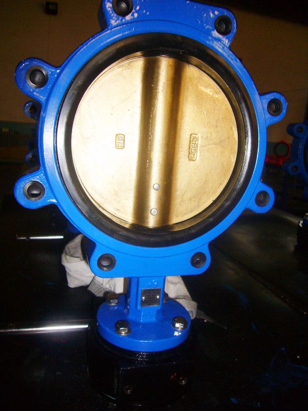 Lug Type Butterfly Valve  Manufacture