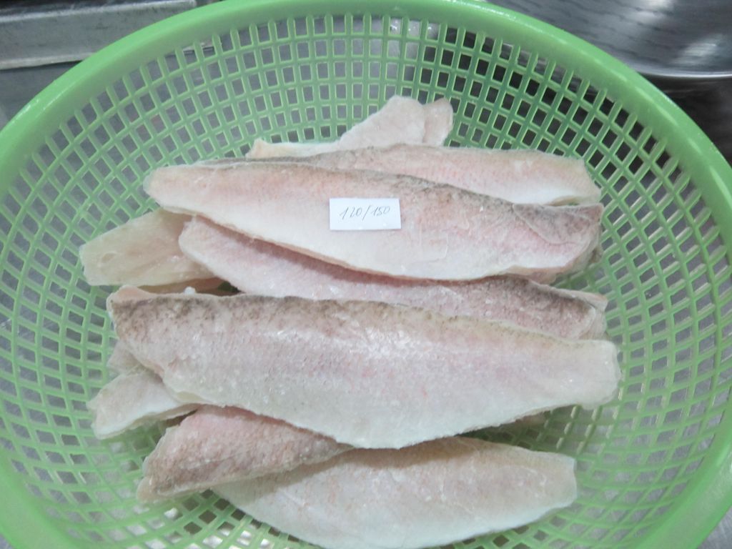 Frozen Red Horsehead fish fillet