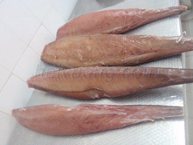 Yellowfin Tuna, Swordfish, Oilfish, Marlin and Sailfish
