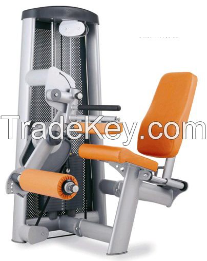 Seated Leg Curl XH04