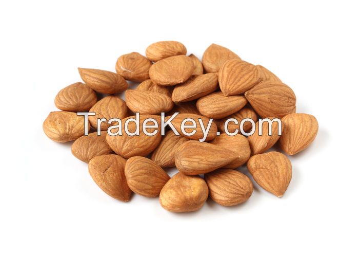 Chinese Almonds, Organic Apricot Kernels, Organic Almonds